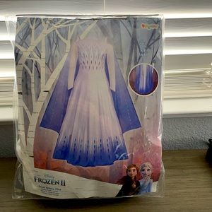 Elsa Prestige Costume for Adults Frozen 2